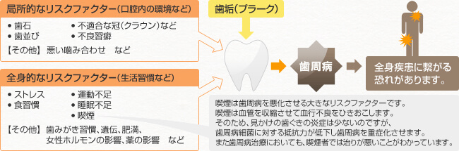 治療の工程